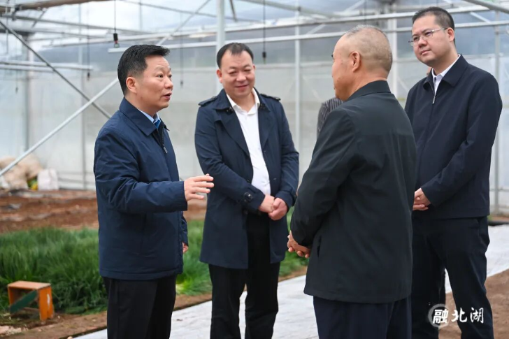 抓好有效衔接各项工作 全面推进乡村振兴