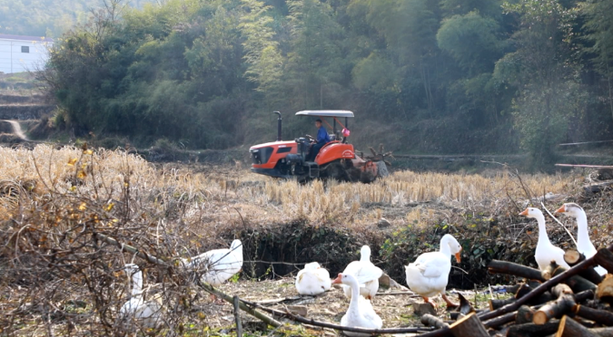 冬田不闲！循环农业盘活北湖瑶乡千亩良田