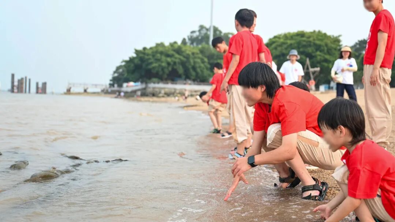 “我们终于看到大海了！”