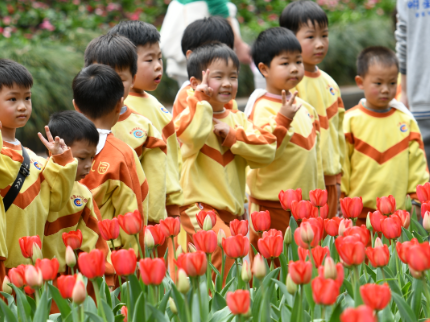郴州春日顶流！外国友人直夸漂亮