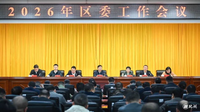 以高质量党建引领推动全区高质量发展