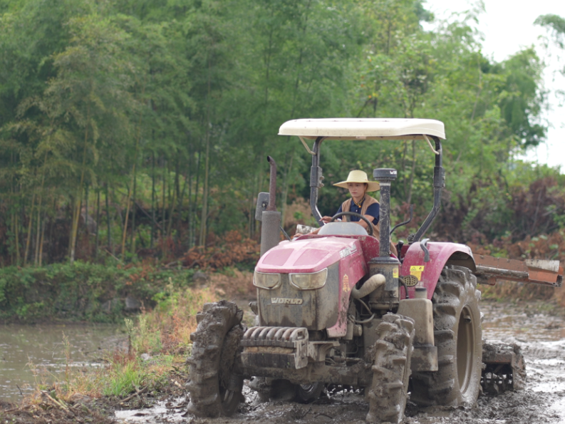 开局八好 潮起北湖 | 春耕正当时！农机助力效率up↑