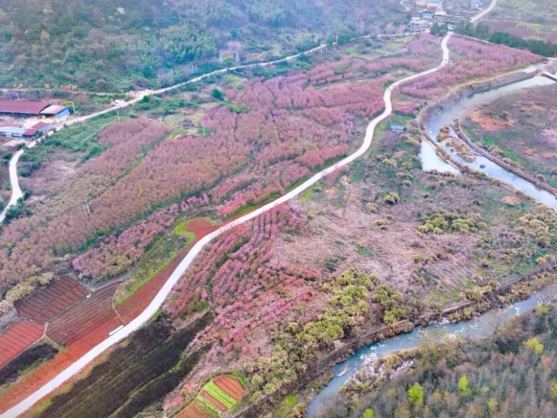 本周六！来北湖打卡家门口的花海