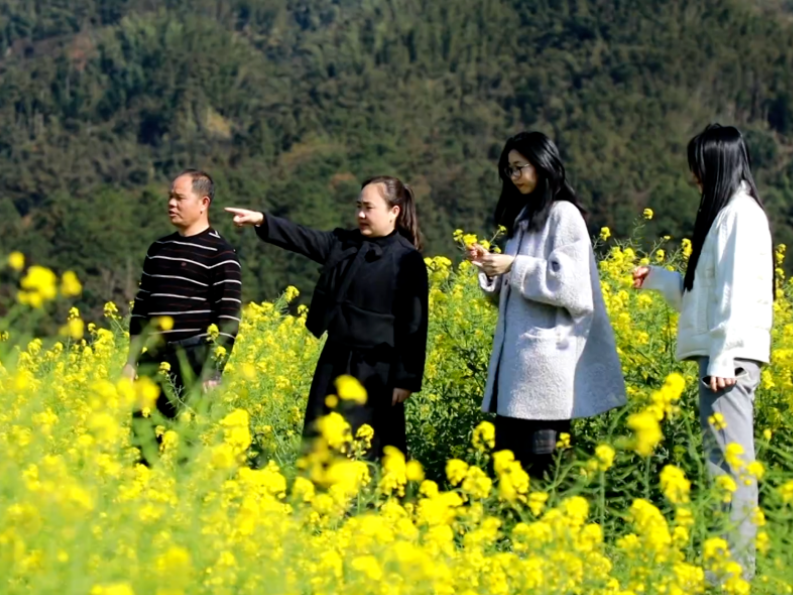 开局八好 潮起北湖｜瑶乡金浪翻涌！“种”出双季丰收图