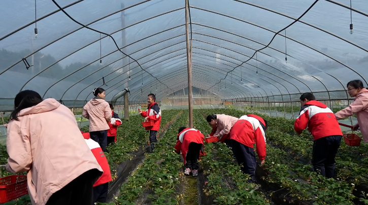 北湖福利院儿童的春日治愈时刻