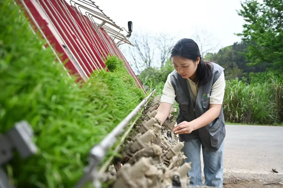 从护士到种粮大户！北湖这位90后姑娘凭啥登上央视？