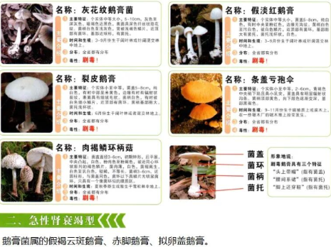 小心误食中毒！赶紧转发给相亲相爱一家人