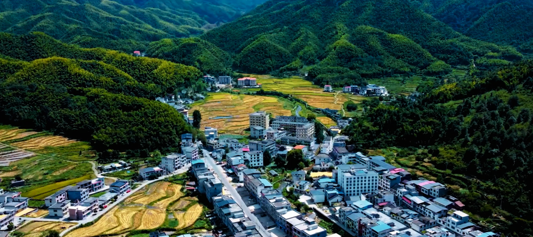 省级重点村名单公示！北湖一村上榜