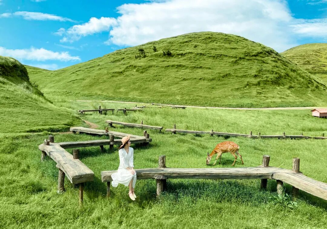 仰天湖大草原明早7点开园！建议早出发错峰出行