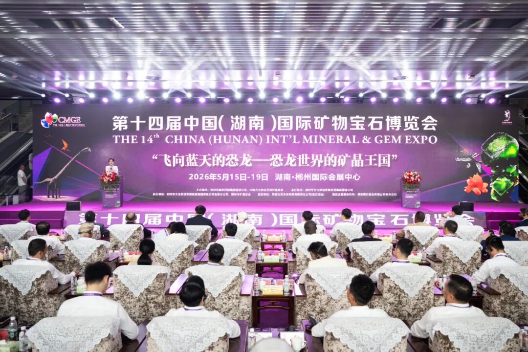 第十四届中国（湖南）国际矿物宝石博览会开幕