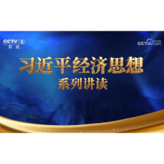 《习近平经济思想系列讲读》第十四集：正确的战略需要正确的策略来落实