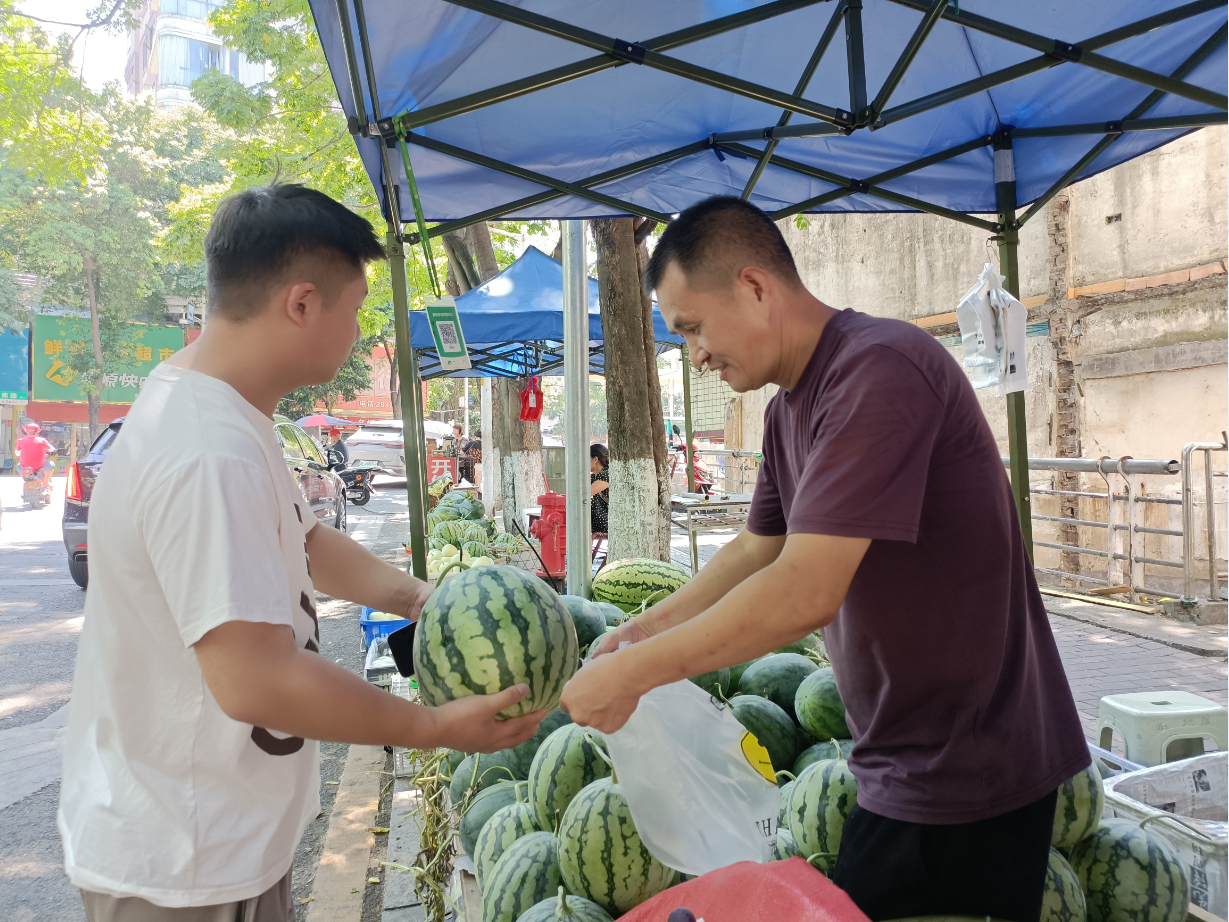 微信图片_20240805152655.png