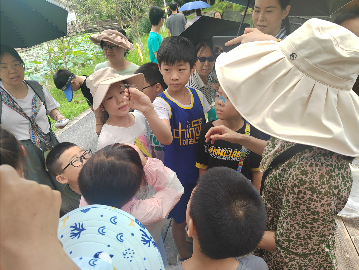微信图片_20240805114604.png