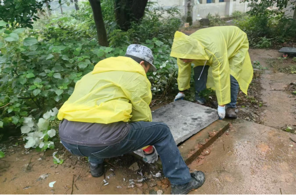 街道1.png 街道1.png