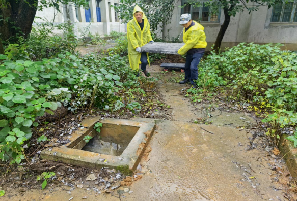 北湖街道.png 北湖街道.png