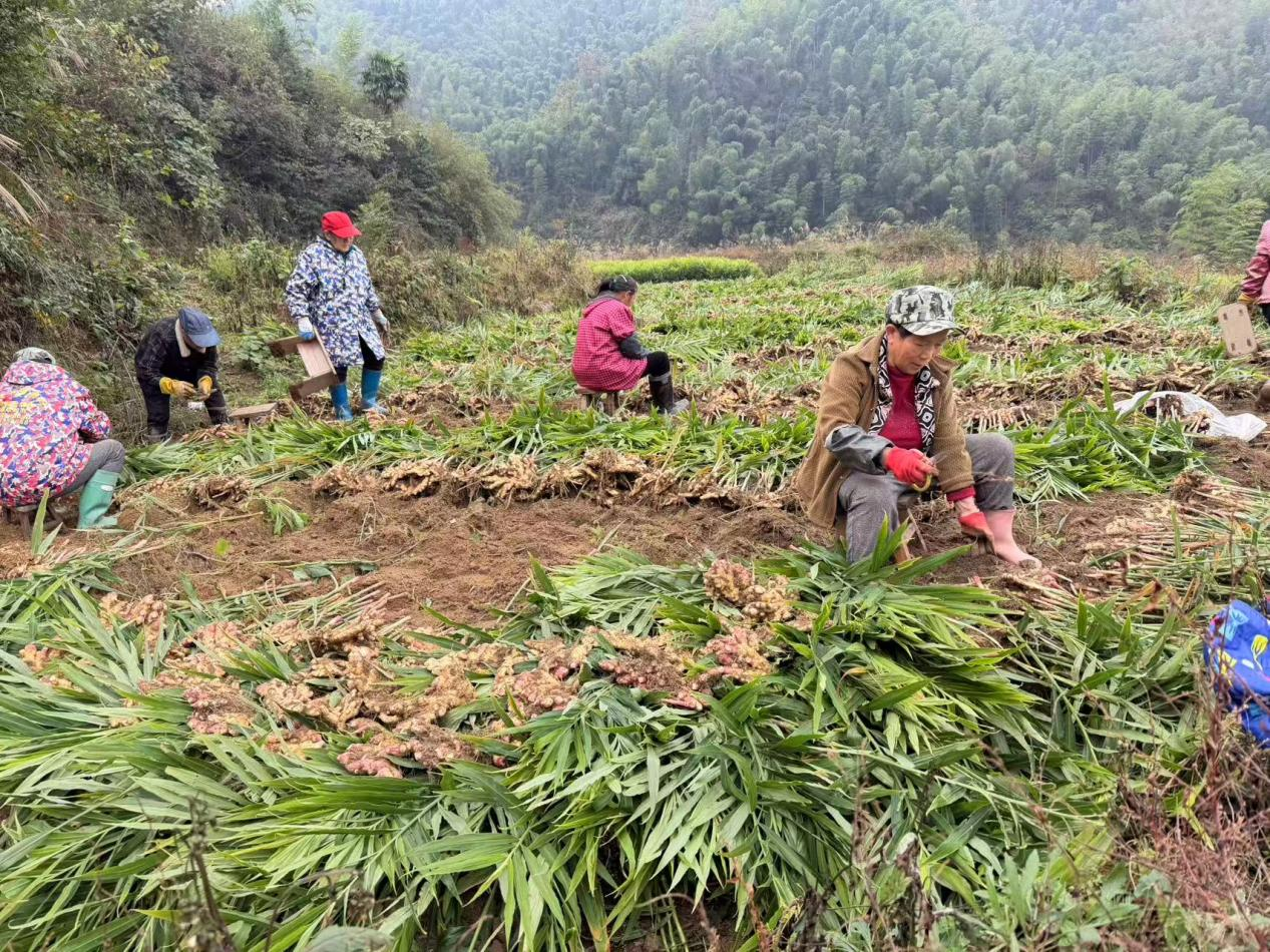 保和.png 保和.png