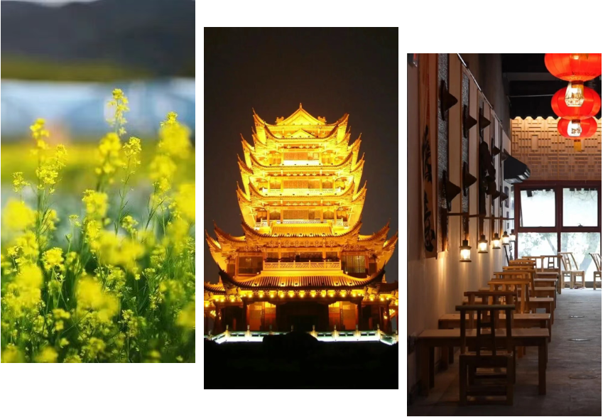 在北湖，还能这样打开“Color Walk”！🤩🤳