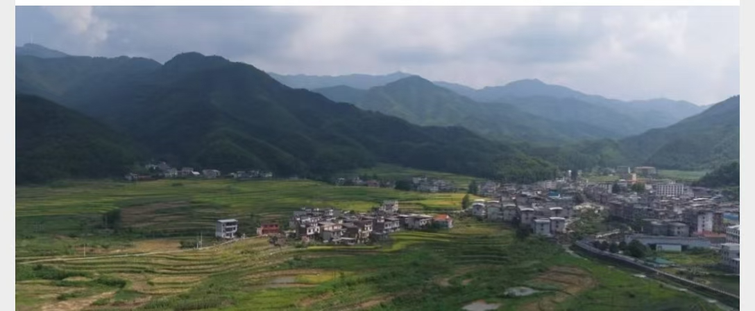 学习贯彻区党代会精神·融媒访谈⑰ | 鲁塘镇：产业转型提能级 生态善治双提升