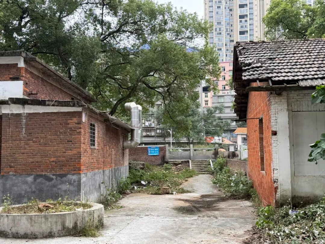群众事马上办！微宣讲变身民意直通车