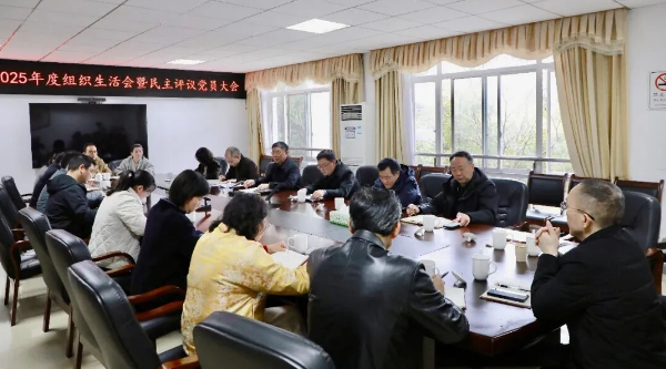 刘浪参加区委办机关党支部组织生活会