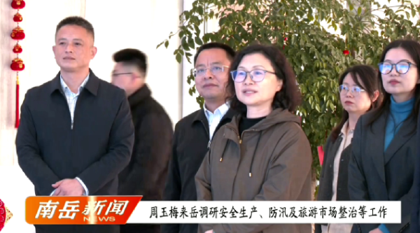 周玉梅来岳调研安全生产、防汛及旅游市场整治等工作