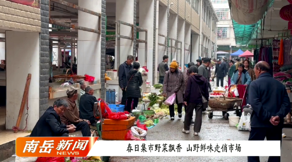 春日集市野菜飘香 山野鲜味走俏市场