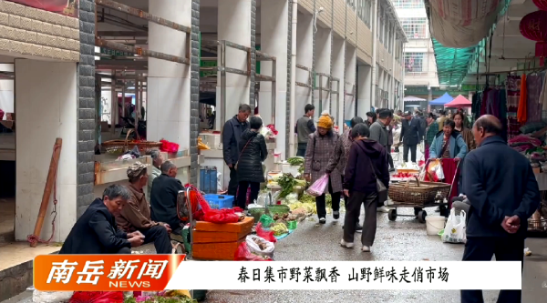 春日集市野菜飘香 山野鲜味走俏市场