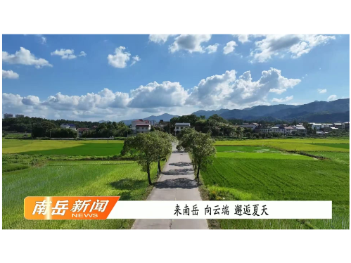 来南岳，向云端，邂逅夏天