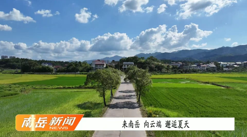来南岳，向云端，邂逅夏天