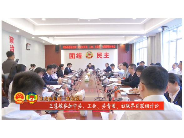 区政协九届一次会议 | 王慧敏参加中共、工会、共青团、妇联界别联组讨论