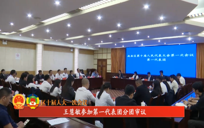 【区十届人大一次会议】 王慧敏参加第一代表团分团审议