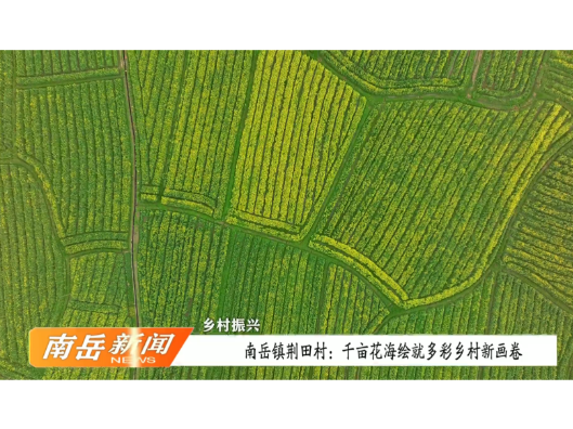 乡村振兴 | 南岳镇荆田村：千亩花海绘就多彩乡村新画卷