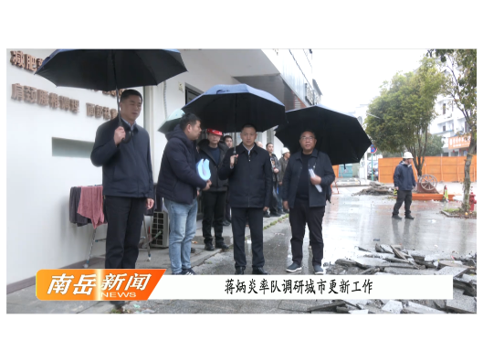 蒋炳炎率队调研城市更新工作