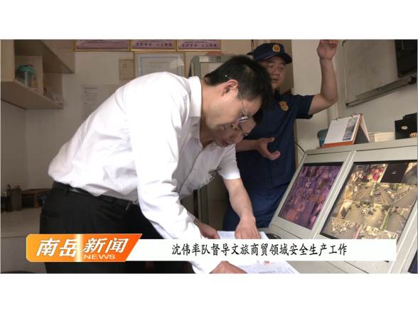  沈伟率队督导文旅商贸领域安全生产工作