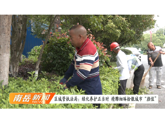 区城管执法局：绿化养护正当时 精雕细琢扮靓城市“颜值”