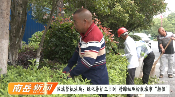 区城管执法局：绿化养护正当时 精雕细琢扮靓城市“颜值”