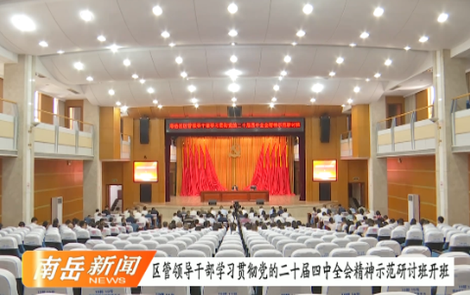 区管领导干部学习贯彻党的二十届四中全会精神示范研讨班开班