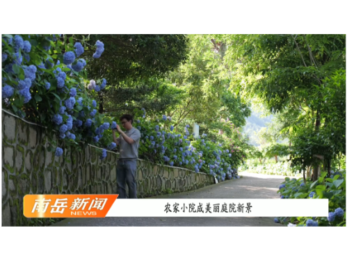 农家小院成美丽庭院新景