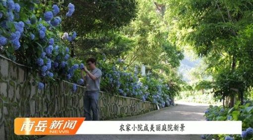 农家小院成美丽庭院新景