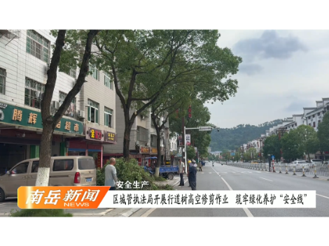 安全生产 | 区城管执法局开展行道树高空修剪作业 筑牢绿化养护“安全线”