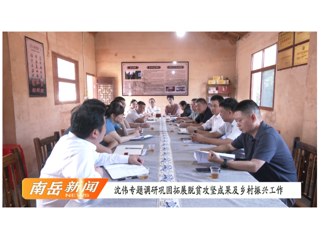 沈伟专题调研巩固拓展脱贫攻坚成果及乡村振兴工作