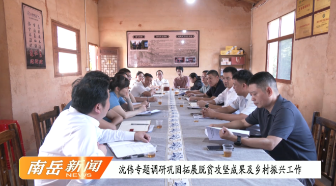 沈伟专题调研巩固拓展脱贫攻坚成果及乡村振兴工作