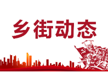 酃湖乡组织学习《中国共产党政法工作条例》
