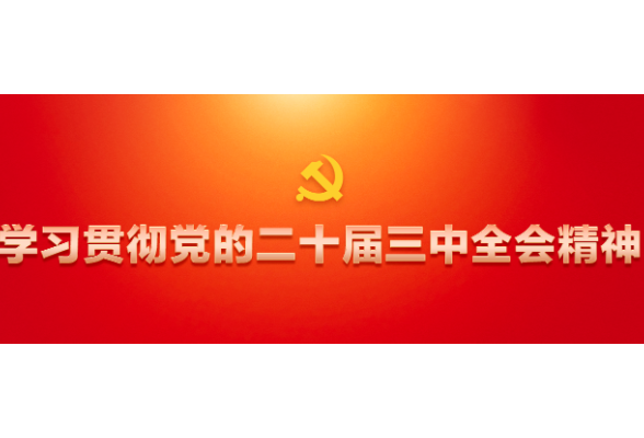 学习贯彻党的二十届三中全会精神