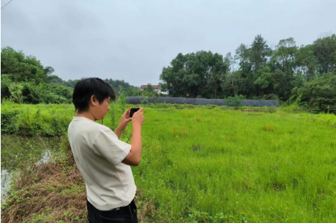 茶山坳镇积极开展耕地抛荒排查整治行动