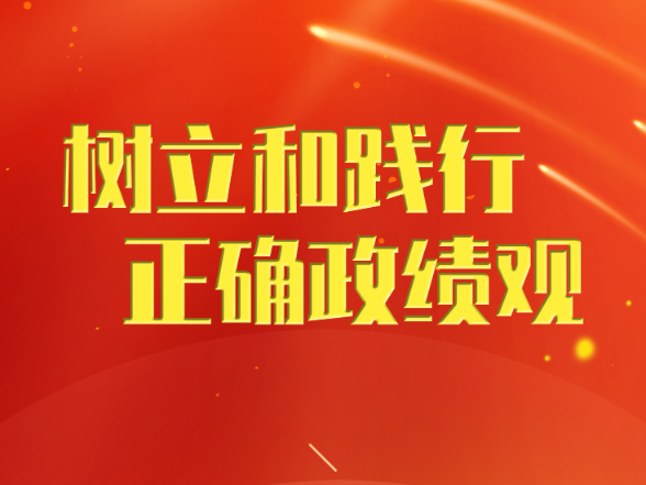 实干为民开新局——党中央部署启动树立和践行正确政绩观学习教育