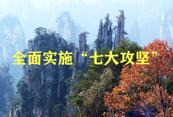 专题|全面实施“七大攻坚”