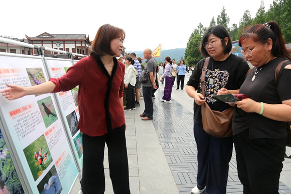 G11A6527_副本.jpg G11A6527_副本.jpg
