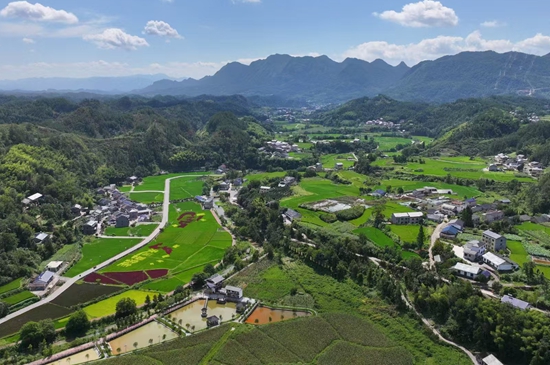 田园风光.jpg