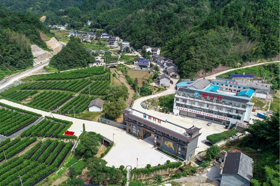 湘阿妹葛根基地.jpg